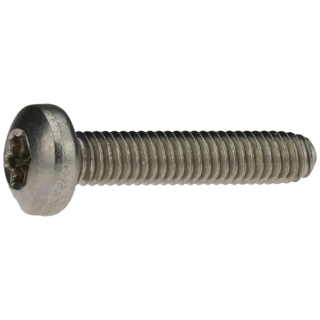 Reidl DIN 7500 Gewindefurchende Schr. Form CE, 6 x 20, TX, A2 blank, Linsenkopf
