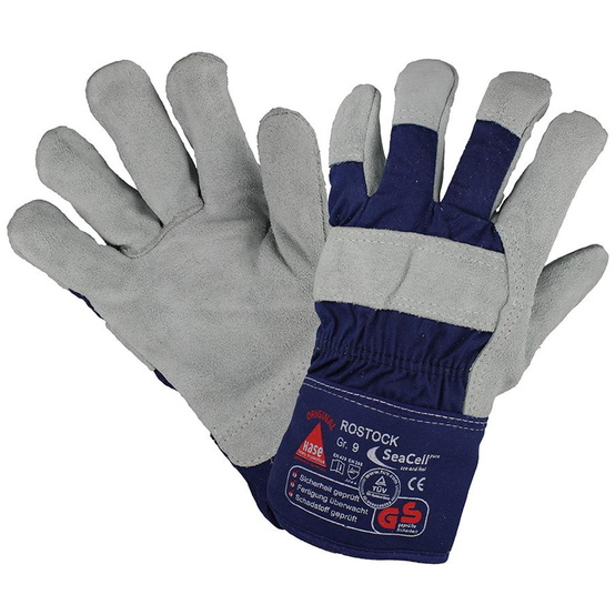 hase-handschuh-rostock-gr-10-p269750