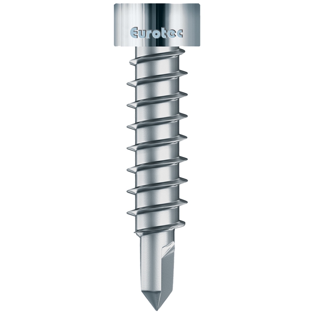 Eurotec Thermofixschraube BS, Edelstahl gehärtet, 4,2 x 22 mm - TX 20