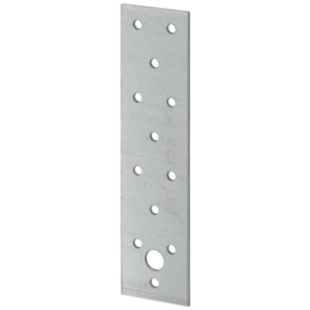 Vormann Lochplatte 40 x 160 x 2 verzinkt
