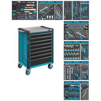 Hazet Werkstattwagen Assistent, Schubladen, flach: 8 x 81 x 522 x 398 mm, Anzahl Werkzeuge: 244, Art.Nr. 179NX-8/244