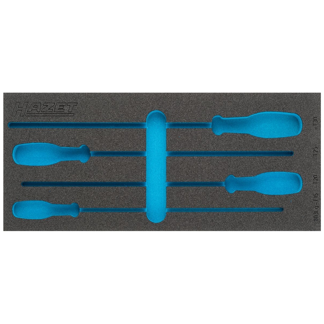 Hazet 2-Komponenten Weichschaumeinlage 163-380L, (LxB) 392 x 172 mm