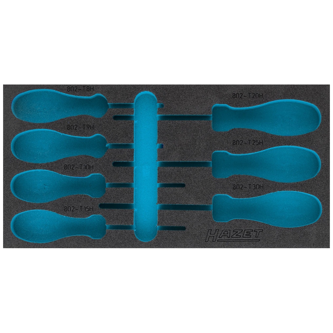 Hazet 2-Komponenten Weichschaumeinlage 163-422L, (LxB) 342 x 172 mm