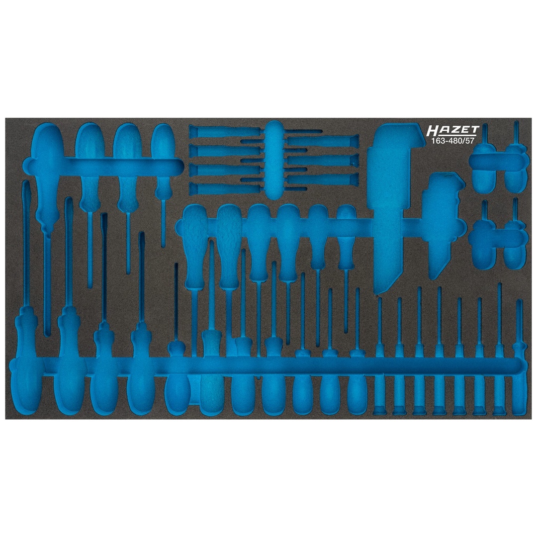 Hazet 2-Komponenten Weichschaumeinlage 163-480L, (LxB) 691 x 392 mm
