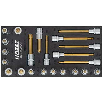 Hazet TORX Schraubendreher-Steckschlüsseleinsatz Satz, Vierkant hohl 12,5 mm (1/2"), Innen TORX Profil, Tamper Resistant TORX Profil, T20 - T70, Anzah