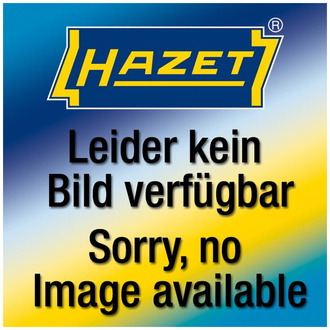 Hazet 2-Komponenten Weichschaum-Einlage 163-595L, 342 mm x 172 mm