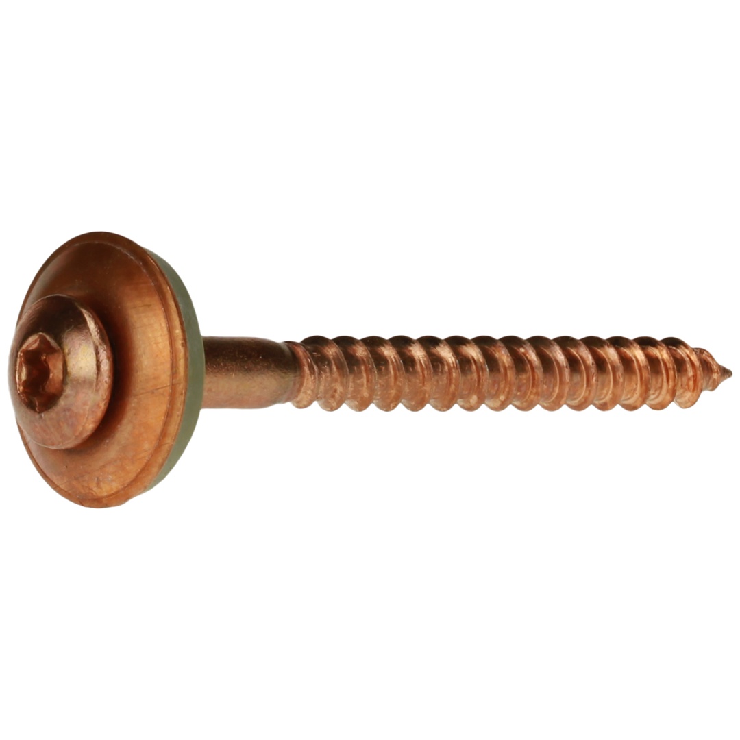Reidl Spanplattenschrauben 5x250, Linsensenkkopf, TX, A2 verkupfert, Dichtscheibe 20 mm, 2-teilig