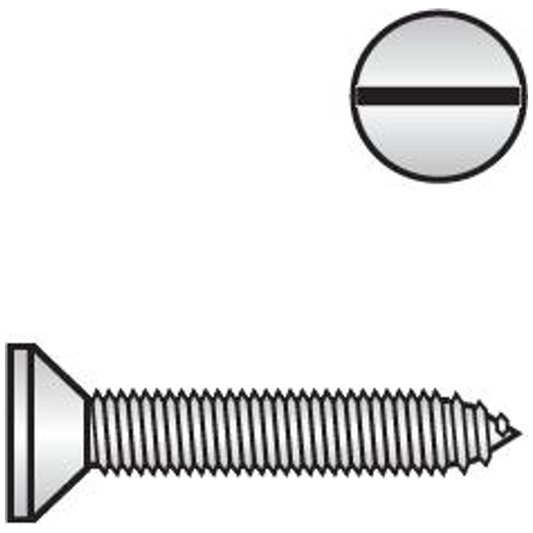 Reidl DIN 7972 Senk-Blechschrauben mit Schlitz Form C 5,5 x 32 A2 blank