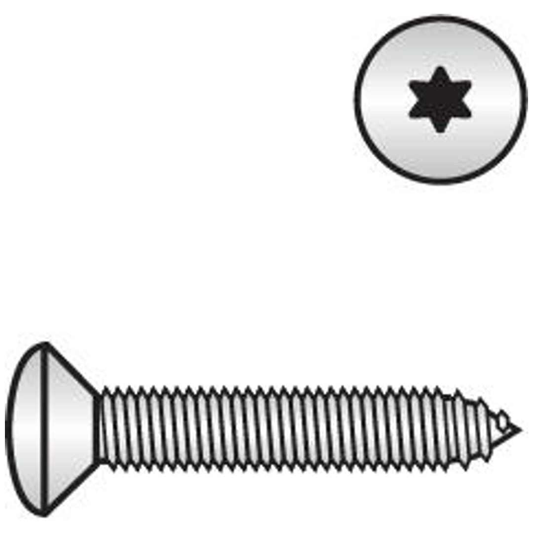 Reidl DIN 7983 Linsensenkkopf-Blechschrauben Form C 4,2 x 60 A4 blank TX